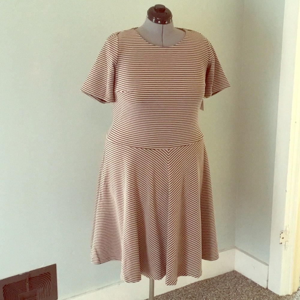 Eloquii dress